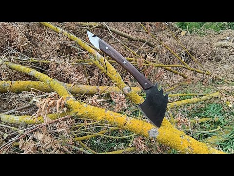 Видео: Це найкращий інструмент для обрубки гілок