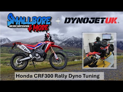 Видео: Какую мощность развивает Honda CRF300 Rally по результатам динамометрических испытаний?