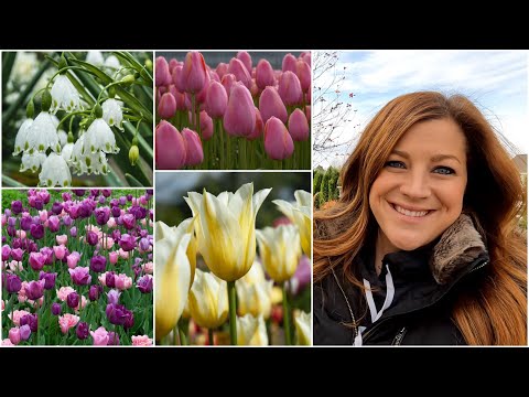 Видео: Высажено ещё 1600 луковиц!!! ✅ Тюльпаны и летние снежинки!🌷❄️🌿 // Garden Answer