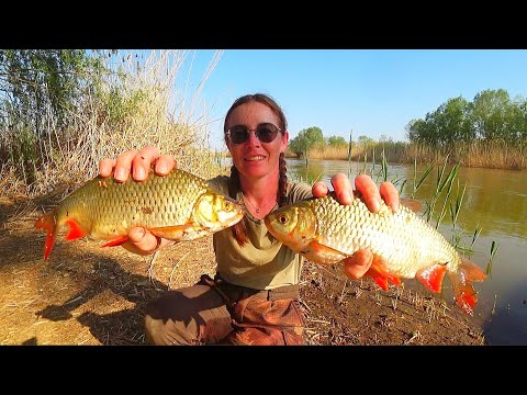 Видео: ВОТ ЭТО РЫБАЛКА! Ловим крупную краснопёрку на силикон. На рыбалку с женой.
