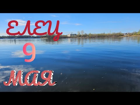 Видео: ЕЛЕЦ НА 9 МАЯ.