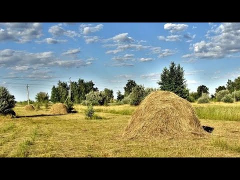 Видео: Сенокос 2024🌾