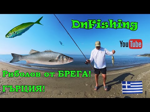 Видео: РИБОЛОВ на ЛАВРАК и САФРИД в ГЪРЦИЯ! FISHING IN GREECE