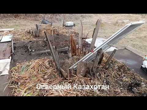 Видео: Как помочь абрикосу не цвести во время заморозков.01-09.10.25.Сев.Каз.