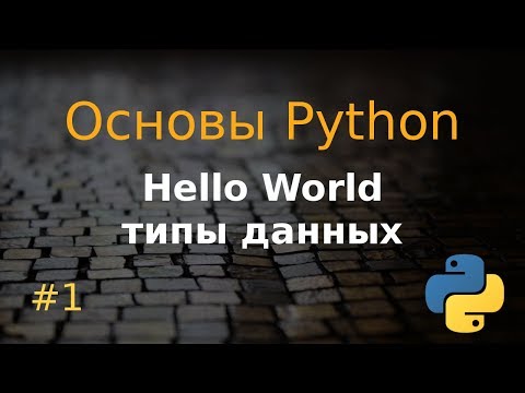 Видео: Основы Python #1: типы данных, объекты, литералы