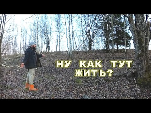 Видео: МОЖЕТЕ НЕ УСПЕТЬ, А ЭТО ТОГО СТОИТ! ЖИЗНЬ НА ХУТОРЕ