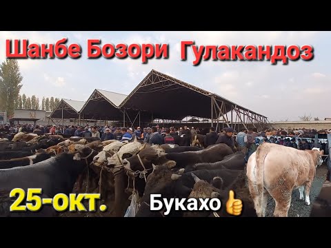 Видео: Шанбе Бозори Гулакандоз имруза нарху навои Букачахои майда ва калон дар молбозор