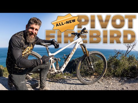 Видео: Pivot Firebird V5: Лучшая птица на данный момент? | | Dissected Series