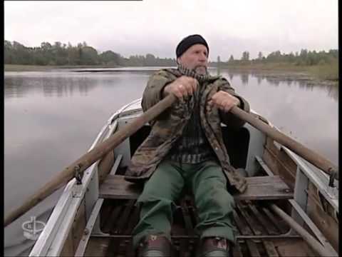 Видео: Зов земли