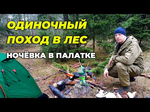 Видео: Одиночный поход в лес с ночёвкой в палатке. Готовка на костре