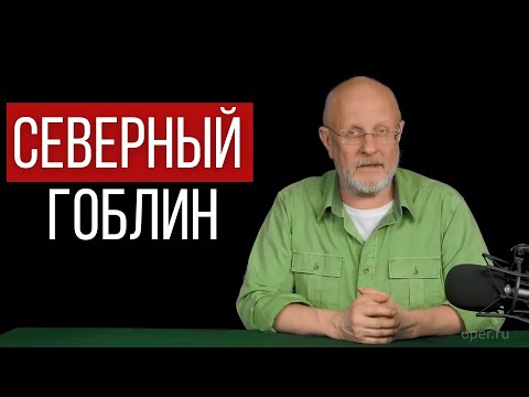 Видео: Дмитрий Goblin Пучков о плановом управлении Арктикой