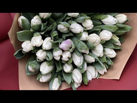 Видео: Эфир от 24 марта 2021 Ирэна Вартик @irenvartiklive