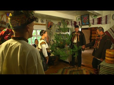 Видео: Гуцульське весілля, частина 2 | Древо