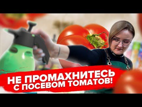 Видео: ПРОСТОЙ ПОСЕВ ТОМАТОВ! Как сеять томаты и не пересаживать?