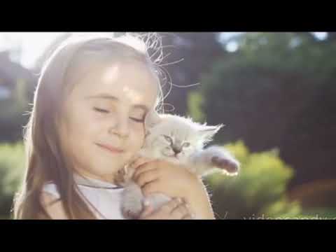 Видео: Домашний доктор ￼