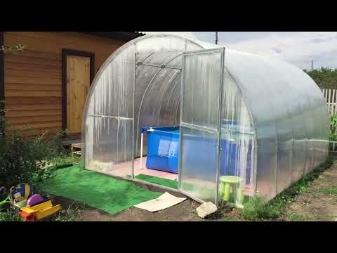 Видео: Отзыв о бассейне в теплице