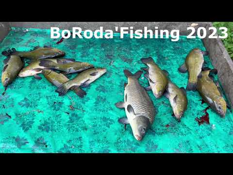 Видео: Распаковка и Обзор спиннинга DAYO Liropus