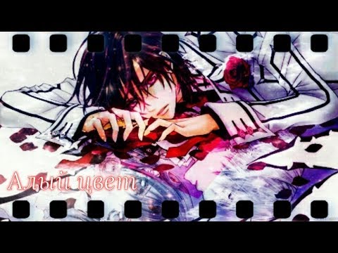 Видео: Алый цвет