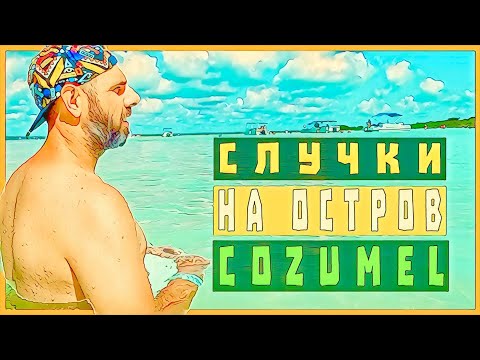 Видео: ЛОШ КЪСМЕТ,гмуркане,бакшиши и още нещо на остров Cozumel🇲🇽МЕКСИКО | ЕП 15