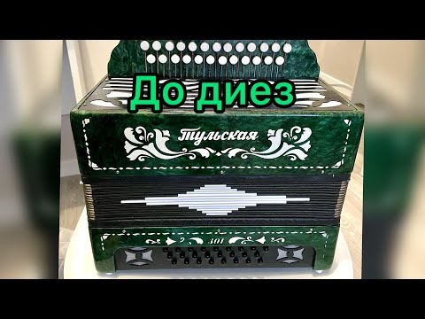 Видео: Гармонь Тульская 301 До диез! Песни под гармонь