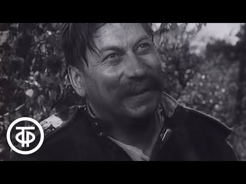 Видео: Страницы советского искусства. Литература. Театр. Фильм 5 (1986)