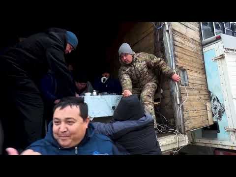 Видео: Шыңғыс асабаның елден бата алу көкпары
