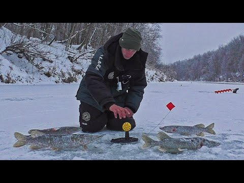 Видео: ЗАЛЕЗ В ЛОГОВО ЩУК! ЭТО ПРОСТО ЖЕСТЬ! Рыбалка на жерлицы и мормышку 2025.