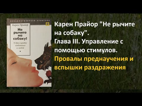 Видео: 239. Карен  Прайор "Не рычите на собаку"  Провалы преднаучения и вспышки раздражения