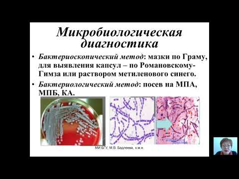 Видео: Возбудители бактериальных и вирусных инфекций (Бадлеева М.В.) - 5 лекция