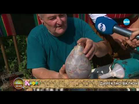 Видео: Ася ни разкрива тайните на деликатеса „Пуска” - „На кафе” (04.07.2018)