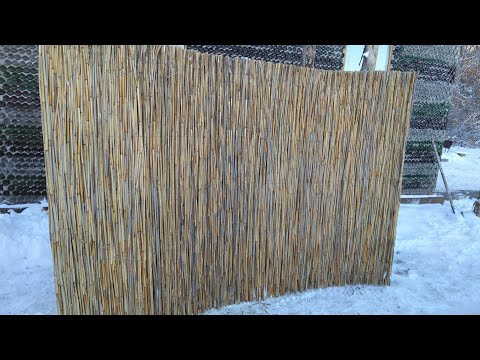 Видео: Забор из камыша