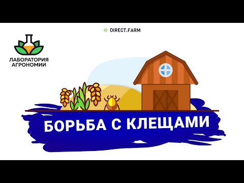 Видео: Борьба с амбарным клещом