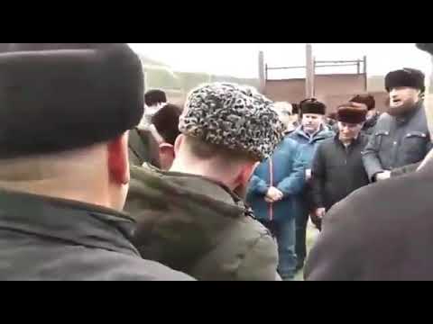 Видео: Мескар-Ойлар Аюб ваша д1а ойуш Зуькар, назма, мукъам мурийдаш; Шовкъ Хьал марзонаш белхараш дегний