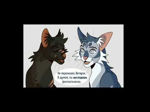 Видео: озвучка мемов по котам воителям [5часть] 🐈‍⬛🐈#warriorcats #котывоители