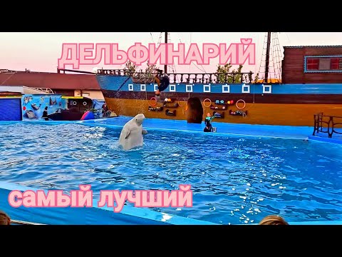 Видео: Дельфинарий в Архипо-Осиповке