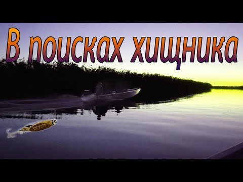 Видео: Завидово, Балхаш! Стоит ли тратить столько денег? Рыбалка на Балхаше , рыболовная база Завидово.