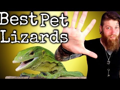 Видео: Эти вараны — отличные питомцы! [5 лучших варанов]