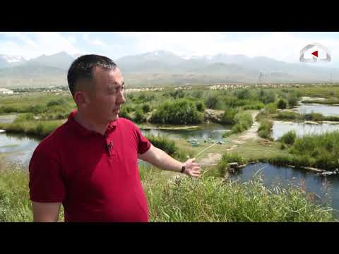 Видео: Биз Кыргызстан / Ат-Башы району, Ак-Талаа айылы / Балык чарбасы
