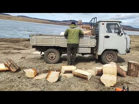 Видео: Простые радости деревни.20 апреля 2024.Готовим дрова.