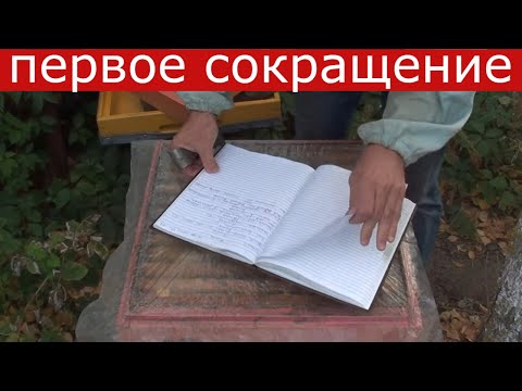 Видео: Сокращение гнезда пчёл осенью в два этапа