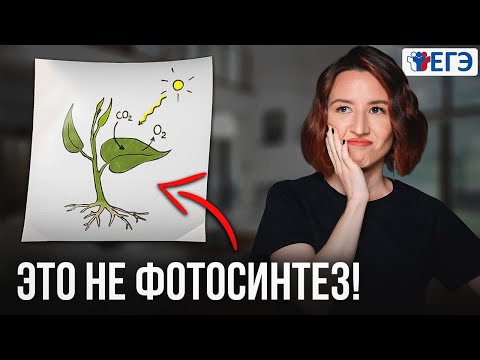 Видео: Как НА САМОМ ДЕЛЕ работает Фотосинтез? – Подготовка к ЕГЭ по Биологии