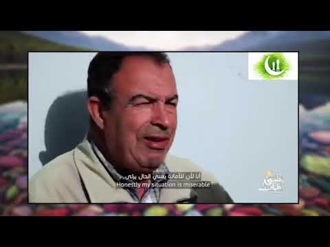 Видео: қалби Ором 10