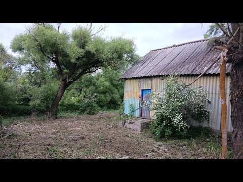 Видео: Уборка территории. Stihl gta 26.