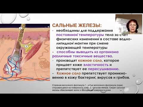 Видео: Вебинар от биохимика и производителя Meso Exfoliation - Калацкой Л.М.. Анти-Акне. Вебинар 3 апреля.
