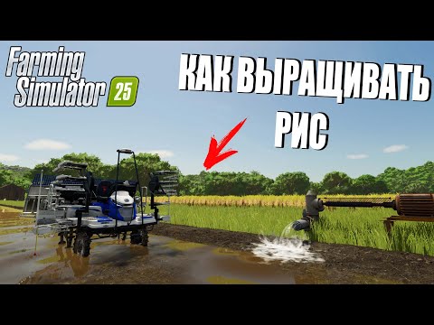 Видео: FARMING SIMULATOR 25. НОВАЯ КУЛЬТУРА РИС. КАК ВЫРАЩИВАТЬ РИС!?