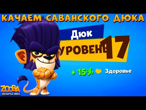 Видео: КАЧАЕМ ЛЬВА ДЮКА НА 17 УРОВЕНЬ В ИГРЕ ZOOBA