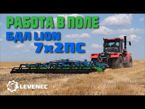 Видео: БДЛ LION 7х2ПС в деле! Лущение стерни пшеницы