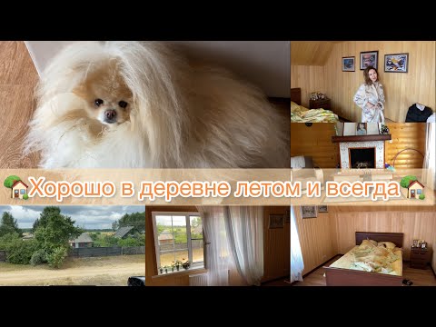 Видео: Выходные в деревне🏡 | нашла участок мечты | хорошо летом | влог
