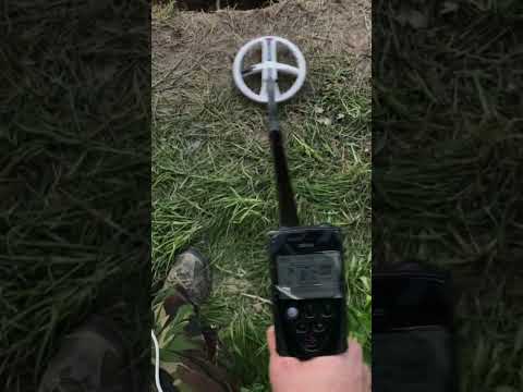 Видео: Troy shadow x5 vs Xp deus #metaldetector #коп