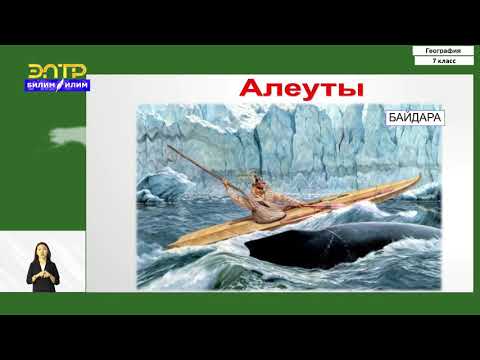 Видео: 7-класс | География  | Население и страны Северной Америки